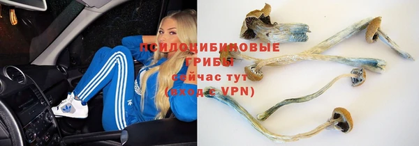 COCAINE Белоозёрский