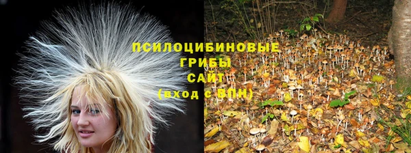 трава Беломорск