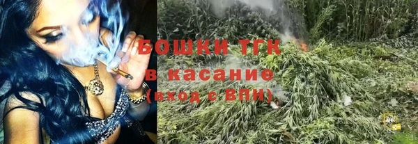 PSILOCYBIN Баксан