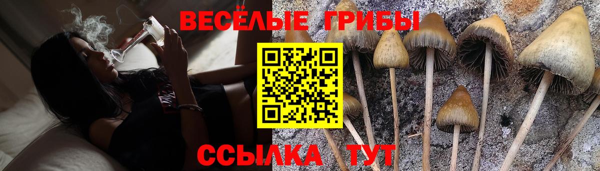 Псилоцибиновые грибы ЛСД  Вход с VPN  Кунгур 