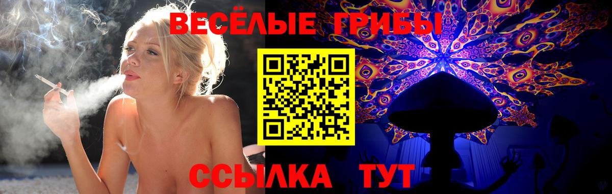 Галлюциногенные грибы Cubensis Кунгур