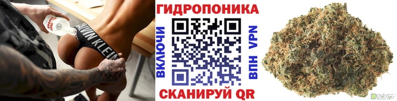 Каннабис планчик Кунгур